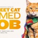 A Street Cat Named Bob | Trailer