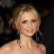 Costume Institute Gala