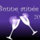 Bonne Ann�e 2011