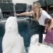 Sea World