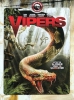 Buffy Vipers 